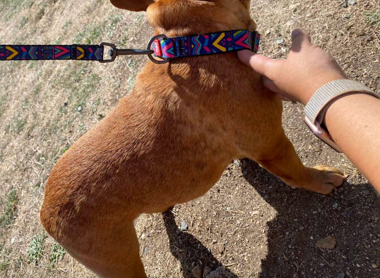Po